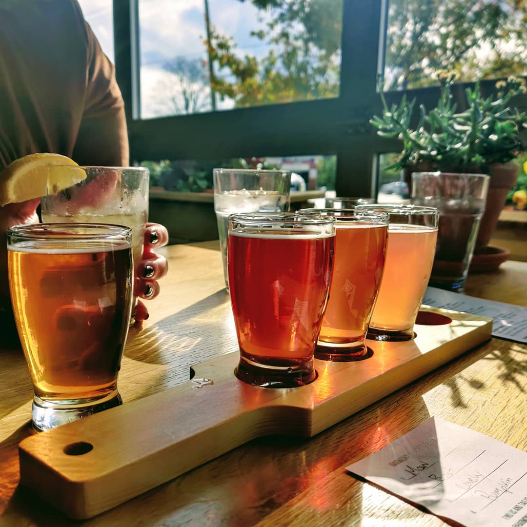 Pints of beer on a table near a window